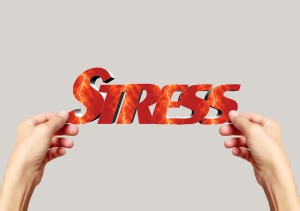Stress in America Blog Patrick Moran Fitness blog